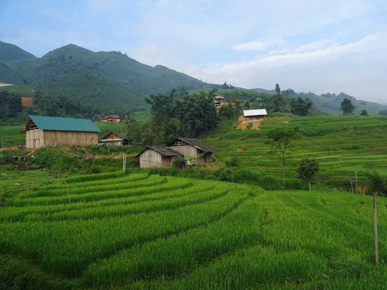 Tả Van: đi bộ ngắm ruộng bậc thang ở thung lũng Mường Hoa