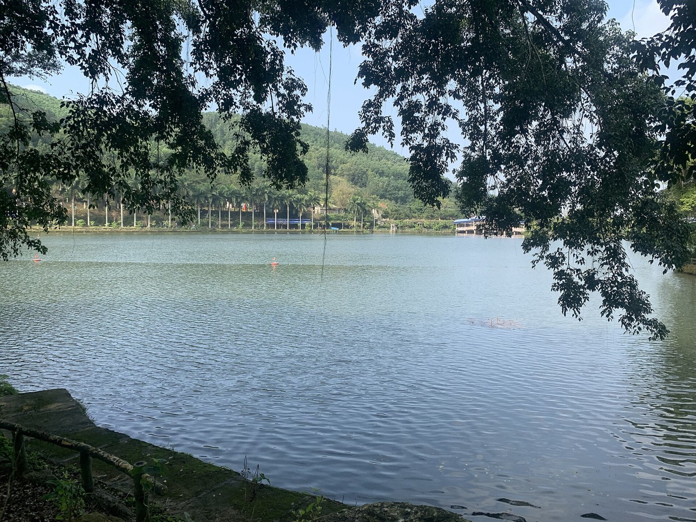 Green mountain and lake landscape in Ba Vi