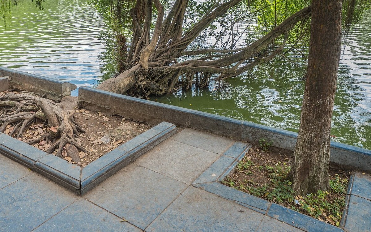 Shaded lakeside path beside Hoan Kiem Lake in Hanoi