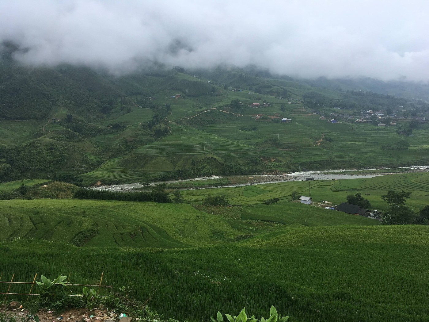 Ruộng bậc thang hai bên dòng Mường Hoa dưới mây thấp