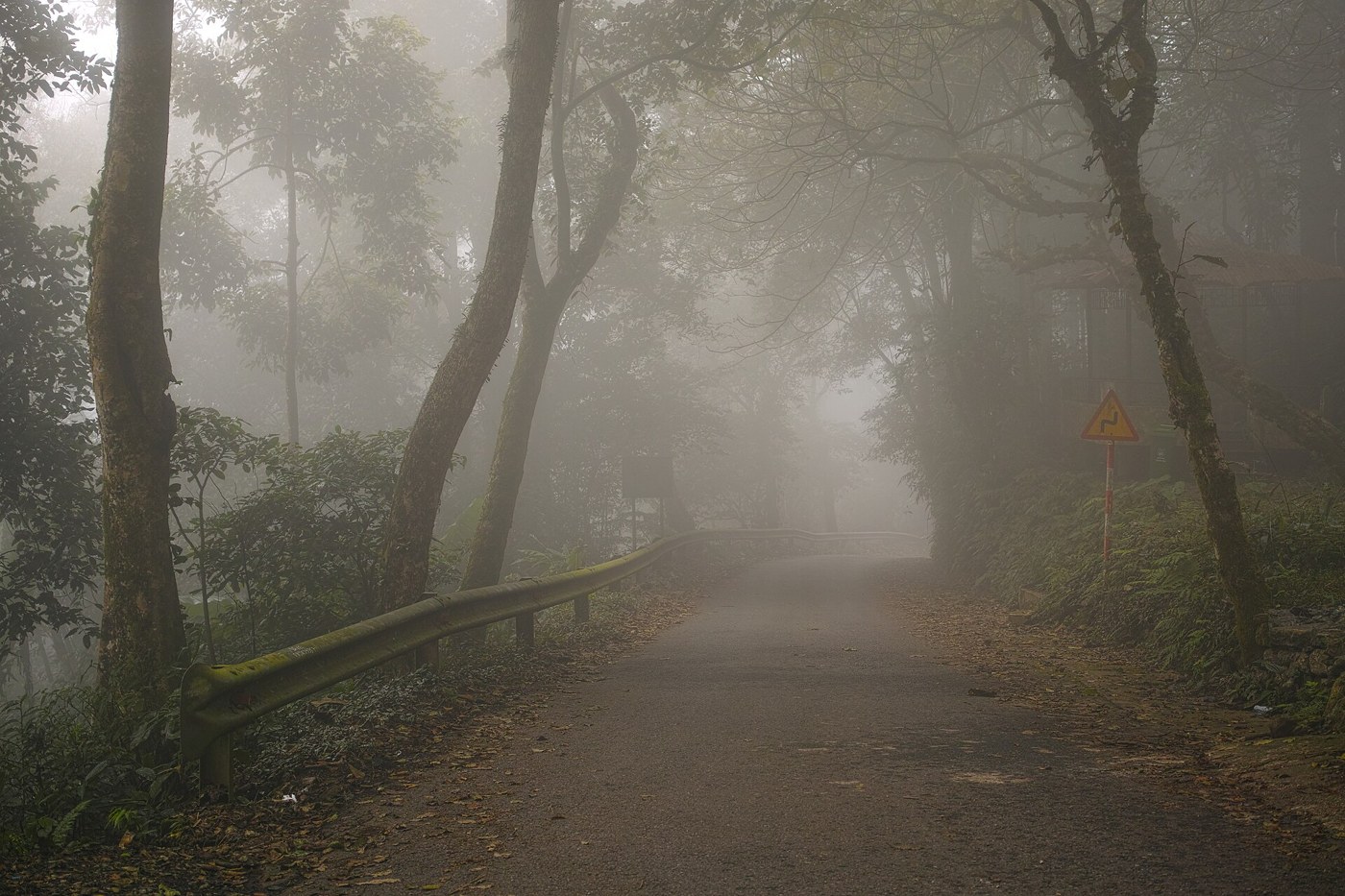 Forest road through mist in Ba Vi