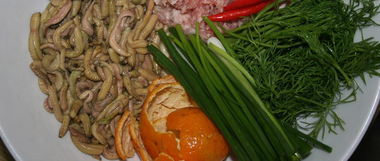 Rươi cùng vỏ quýt, hành và thì là trong ảnh tư liệu nguyên liệu làm chả