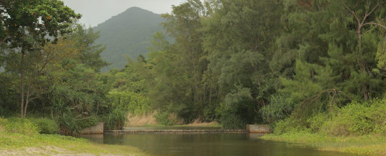 Bãi biển trong Vườn quốc gia Côn Đảo