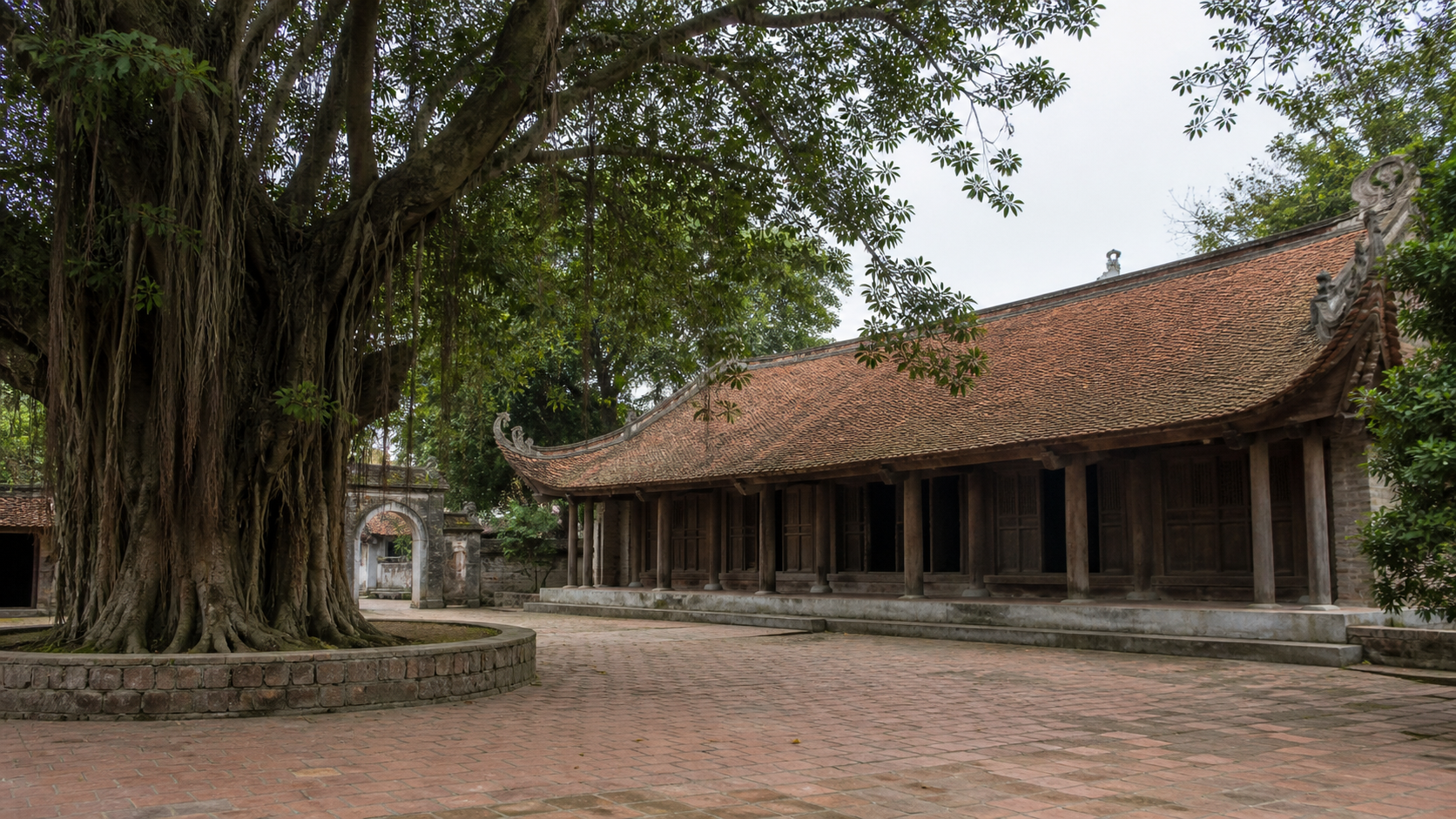 Sân đình cổ ở Đường Lâm dưới tán cây đa lớn
