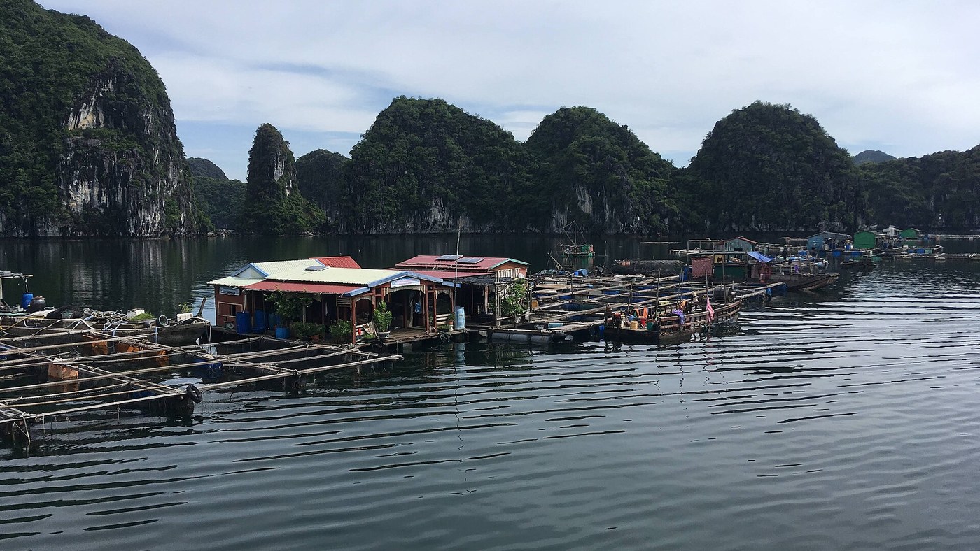 Làng bè và núi đá vôi trên vùng nước vịnh Lan Hạ