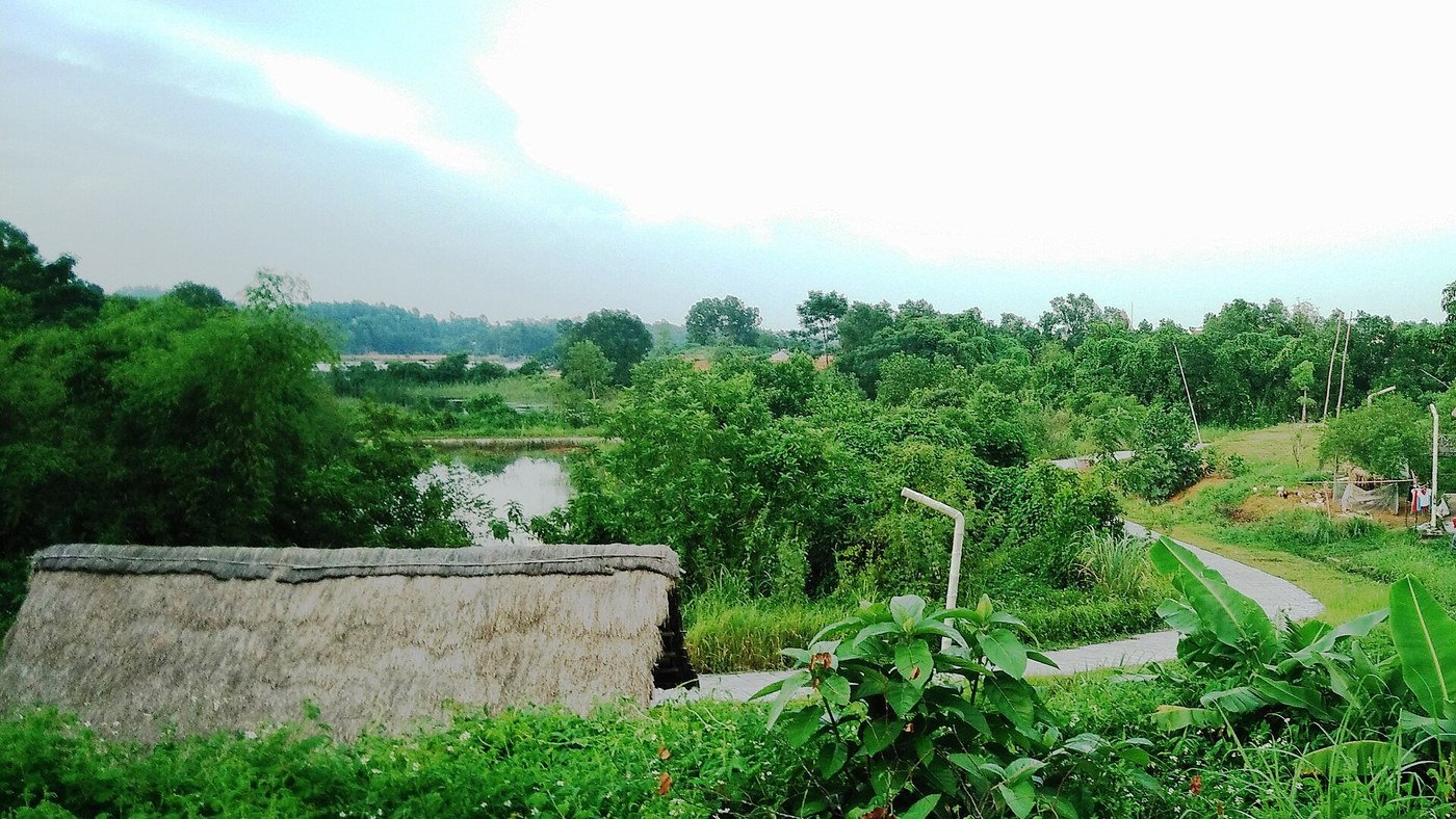 同莫越南民族文化旅游村的绿树与水景