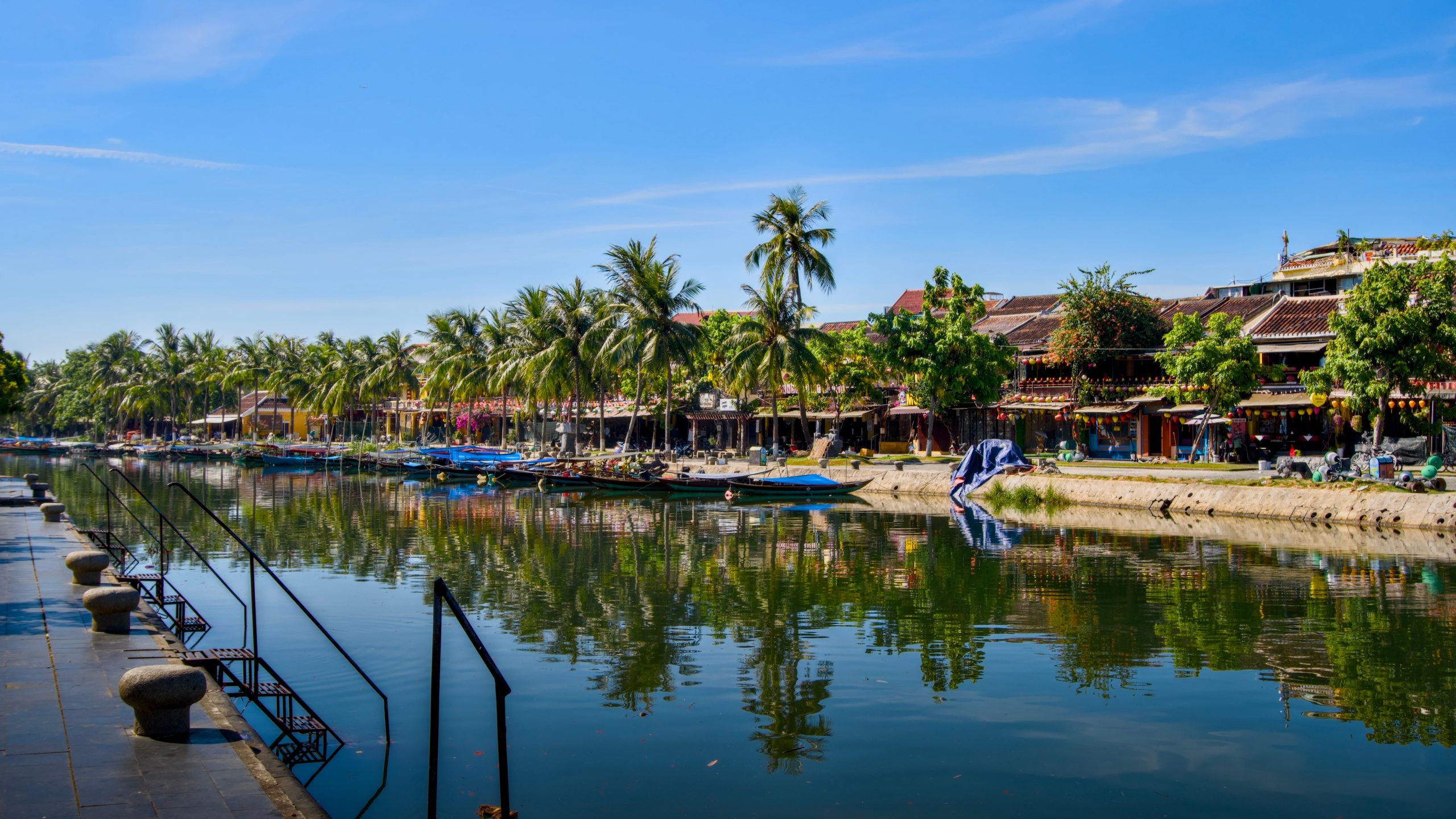 Những ngôi nhà cổ và hàng dừa bên sông Hội An