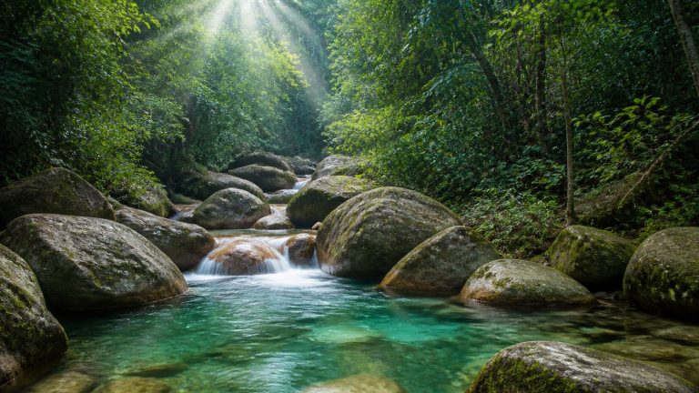 12 dòng suối đẹp ở Việt Nam và kinh nghiệm đi an toàn